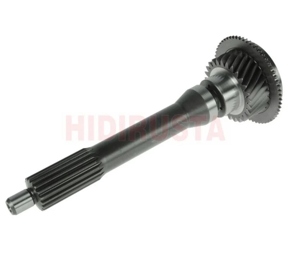 Input shaft