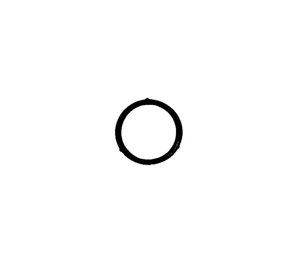 Oil Pump O-ring