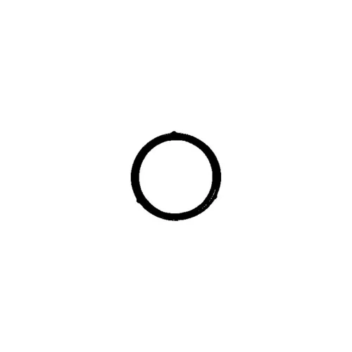 Oil Pump O-ring
