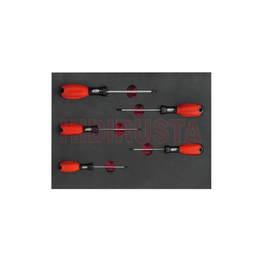 5 Piece Screwdriver Torx Set T10-T30 With Foam inlet