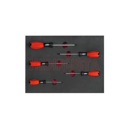5 Piece Screwdriver Torx Set T10-T30 With Foam inlet