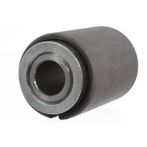 Bush, leaf spring