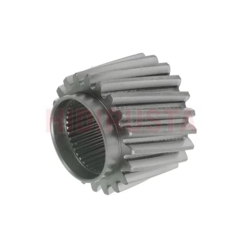 CER SUN WITH GEAR