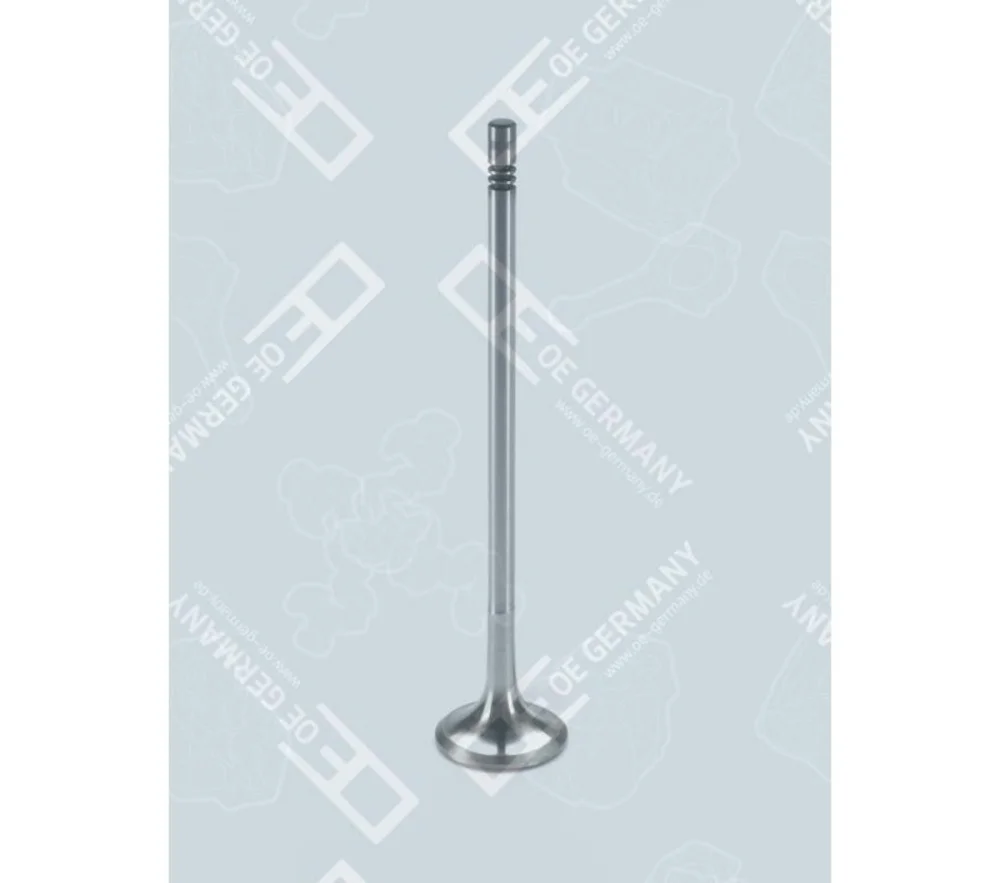 Exhaust Valve