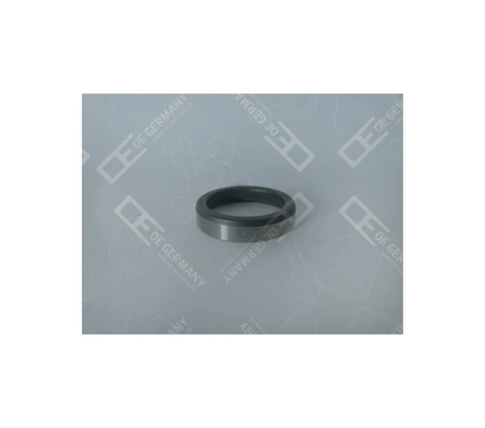 Seat Insert Ring