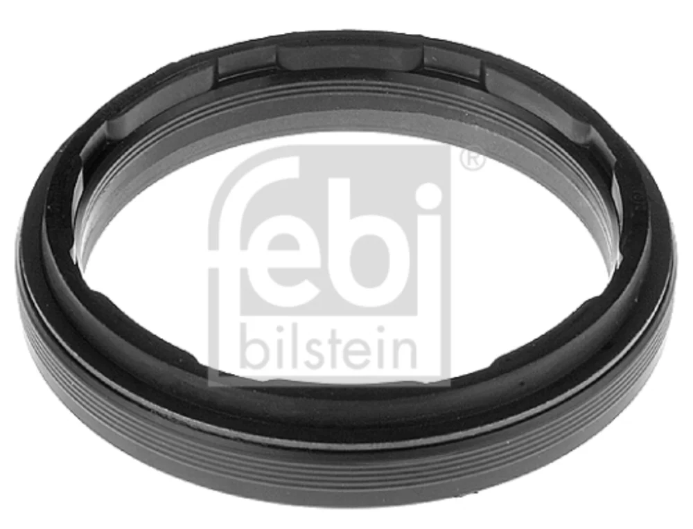 Oil Seal