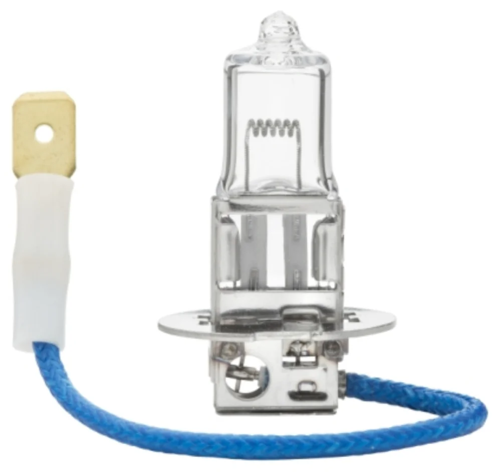 Bulb