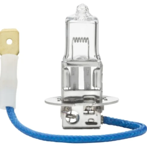 Bulb
