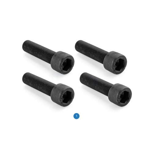 Bolt Set Brembo