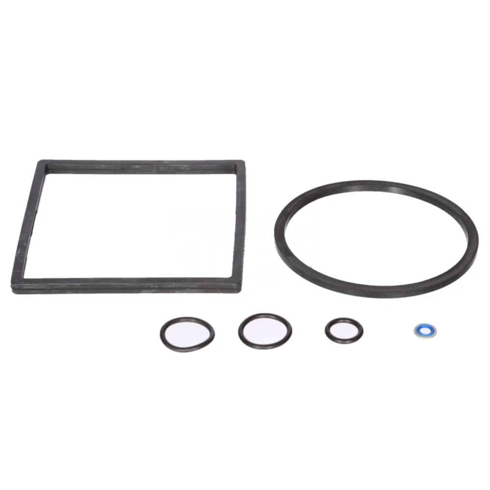 Seal, Fuel Filter