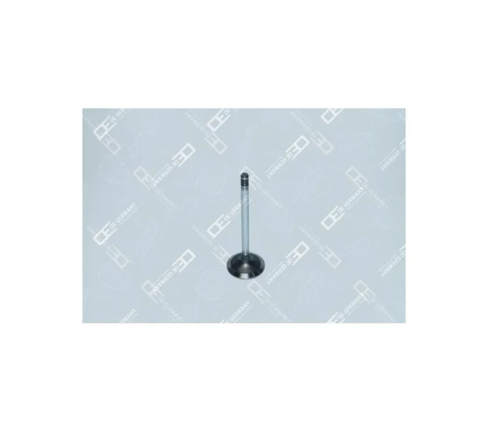 Inlet Valve