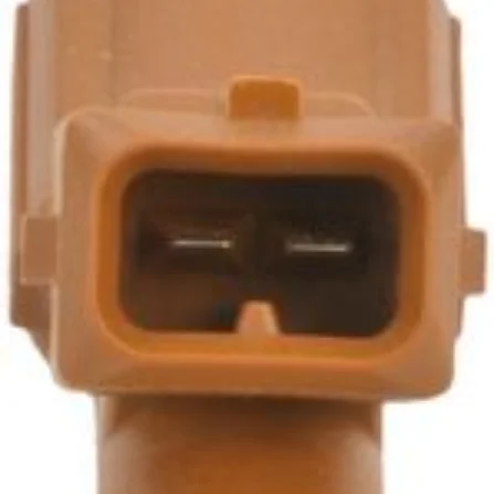 Benzin Enjektörü (manifold)