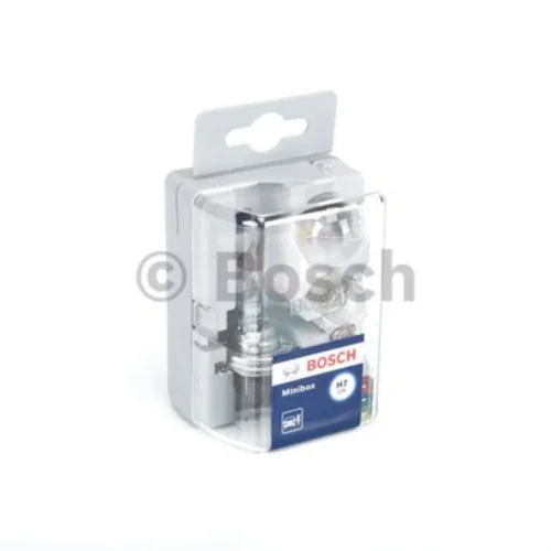 Bulbs Assortment (Lighting System, Universal)