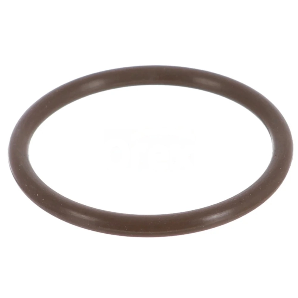 Retarder Oring Küçük Scania