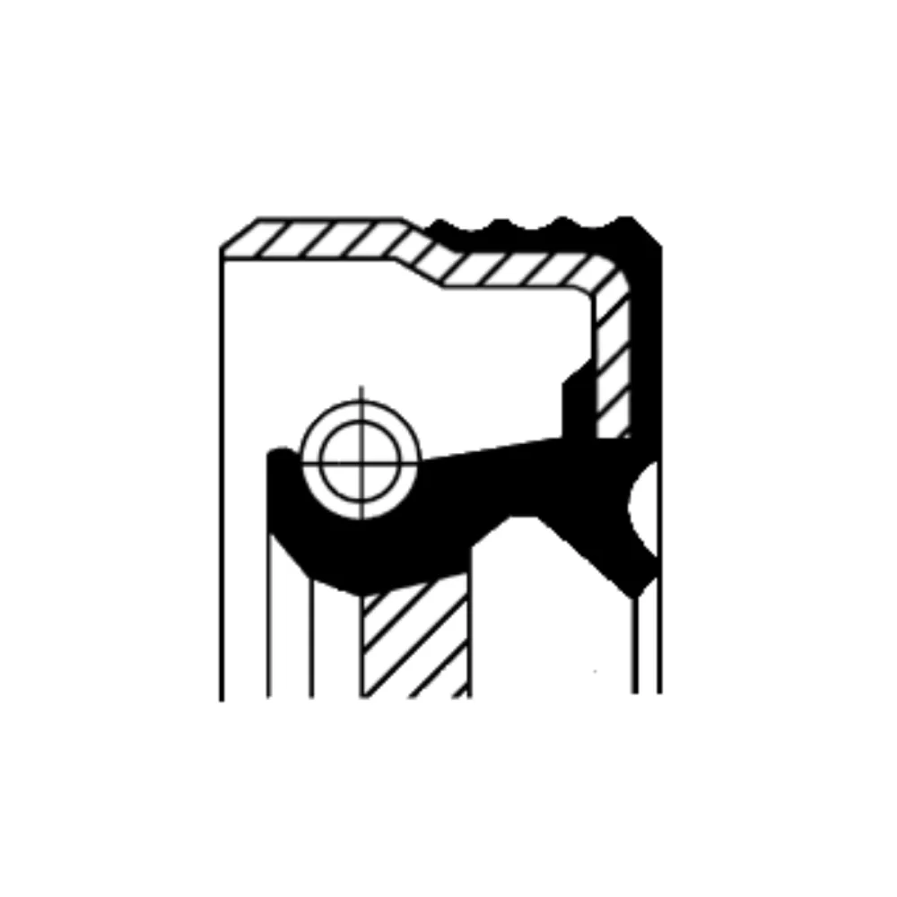 Oil Seal