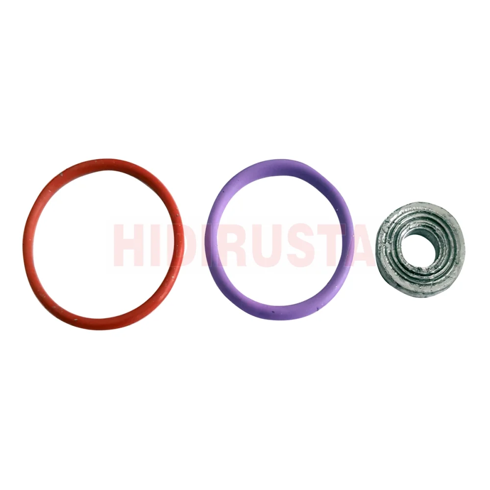Enjektör Oring ve Pul Kiti Daf MX EU6 (3 Parça)