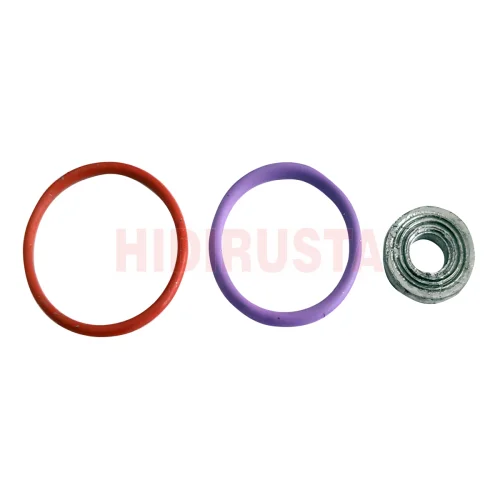 Enjektör Oring ve Pul Kiti Daf MX EU6 (3 Parça)