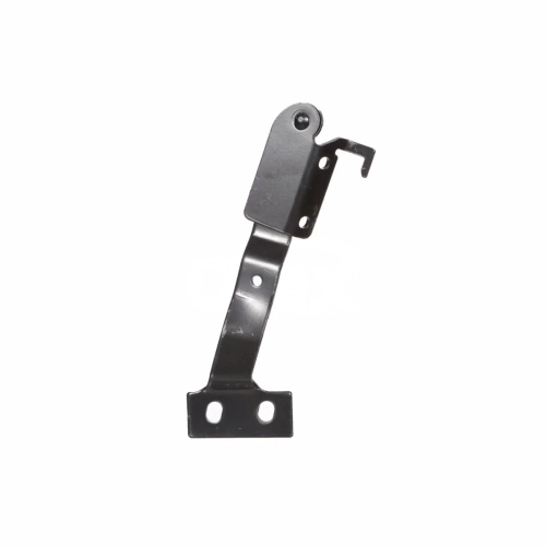 Hinge, hood (R)