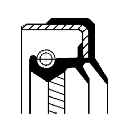 Oil Seal