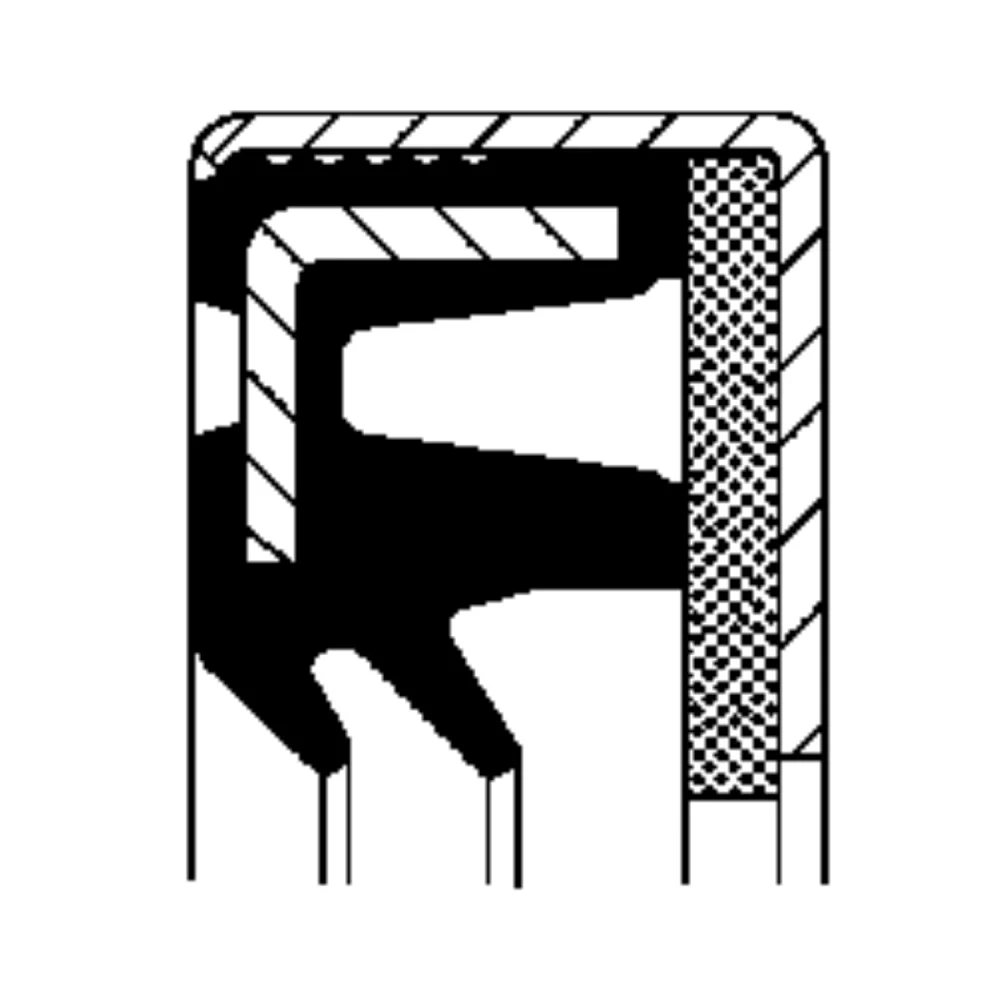 Oil Seal