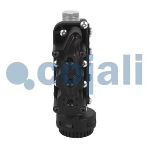 Ecas Solednoid Valve