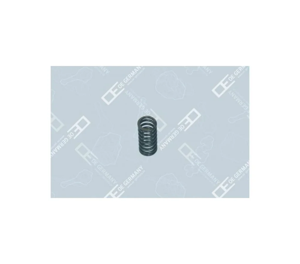 Valve Spring