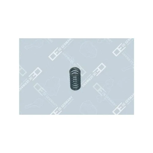 Valve Spring