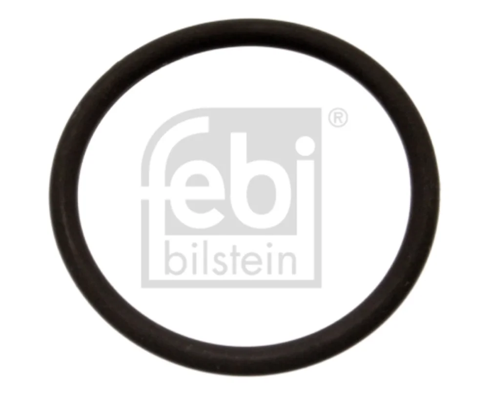 Seal Ring, Brake Shoe