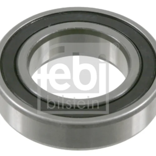 Rulman (6007)