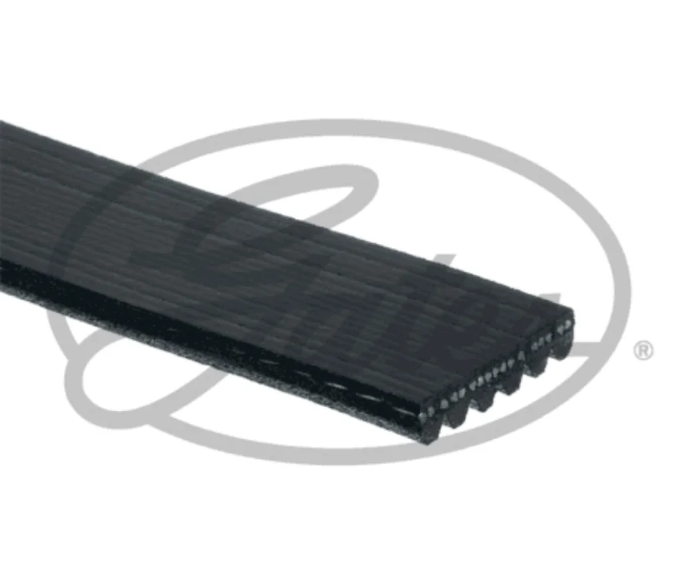 Kayış  6PK2315