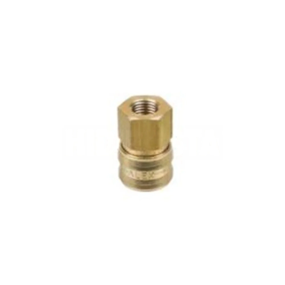 Air Hose Coupler Body Female 1/4