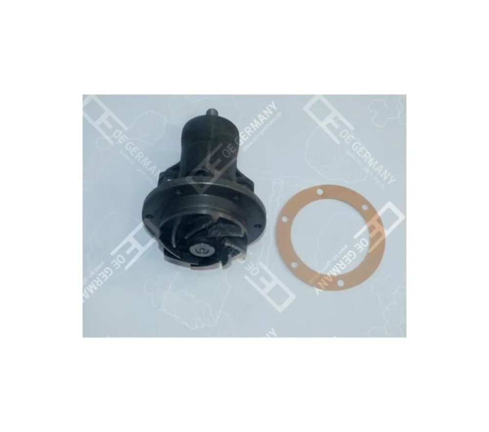 Devirdaim Renault Magnum AE