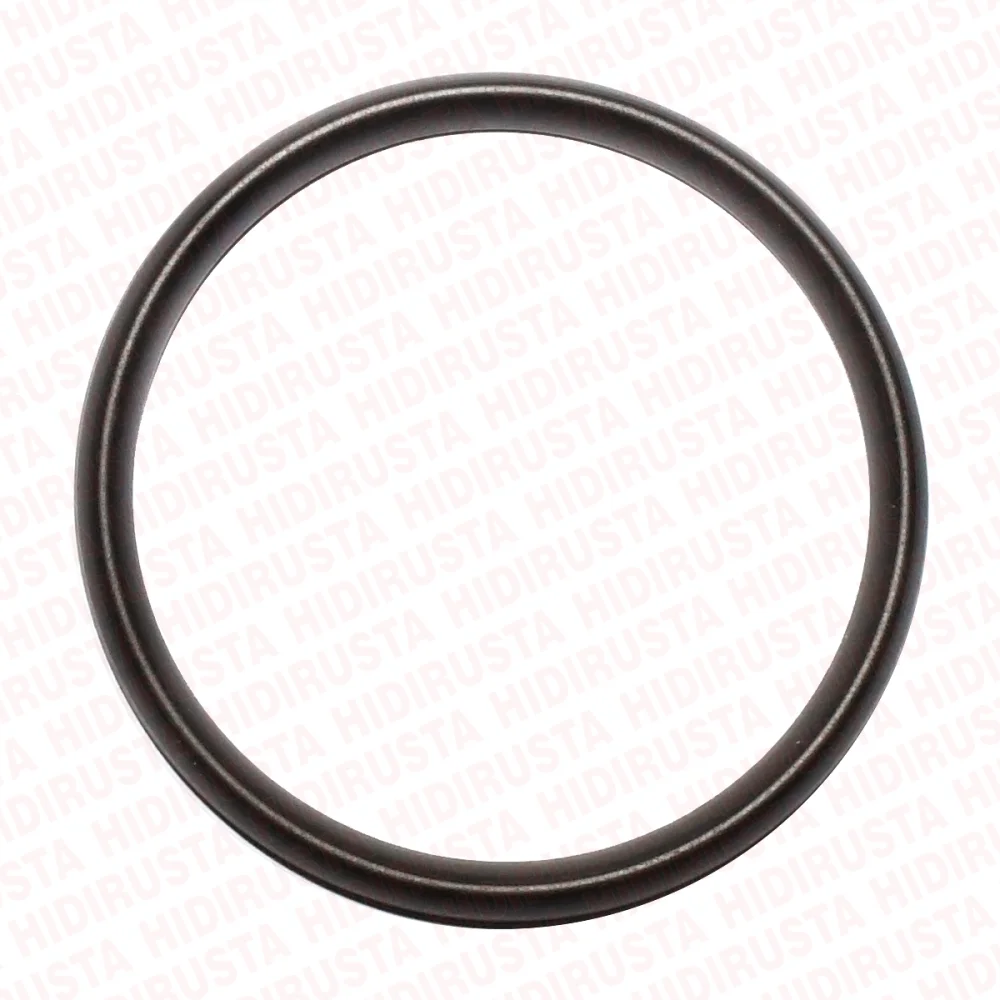 Egzoz Manifold Ara Oringi Volvo D13