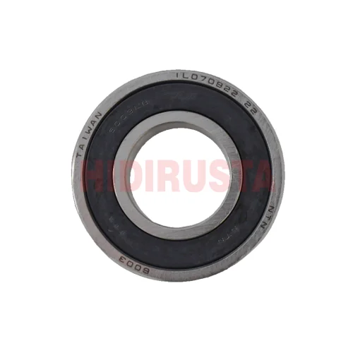 Şarj Dinamo Rulmanı Küçük 17X35X10 (60032Rsr)