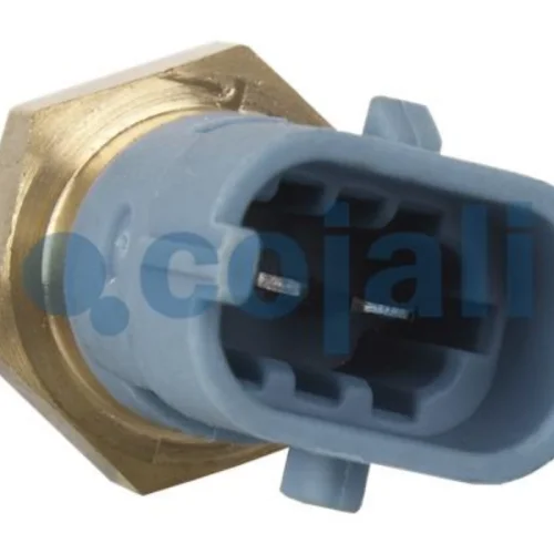 Temperature Sensor