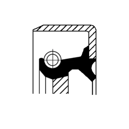 OIL SEAL RING