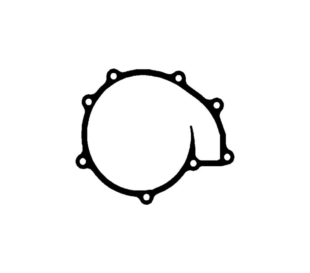 Water Pump Gasket D0836