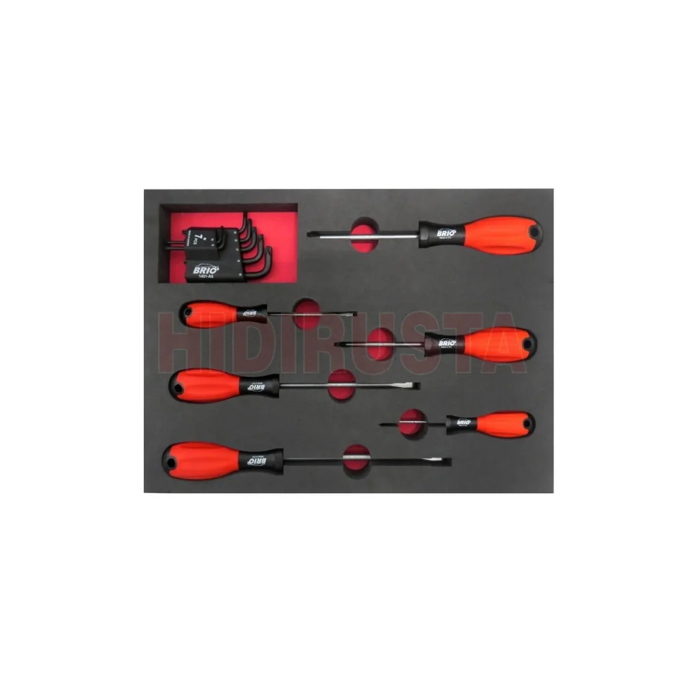 13 Piece Allen Torx, Phillips And Flat Head Screwdriver Set With Foam inlet