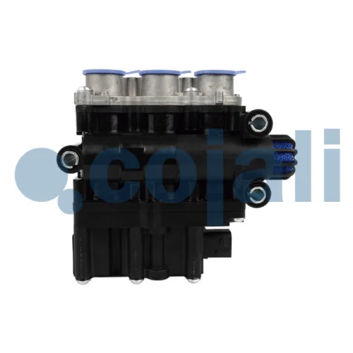 Ecas Valve