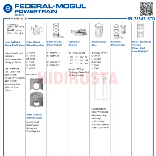 Piston Set