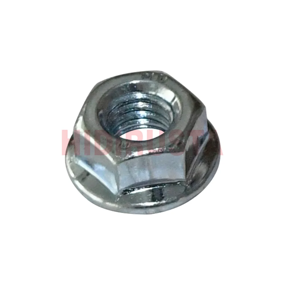 Nut (Standard Parts)