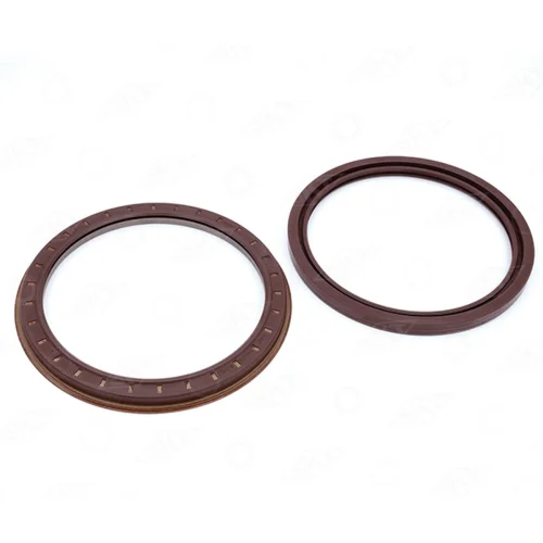 Oil Seal