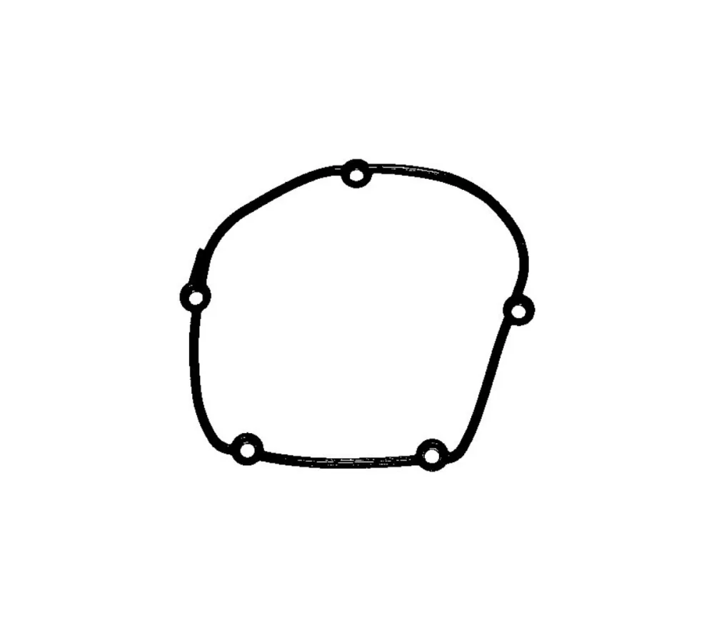 Gasket