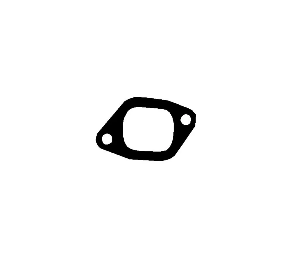 Gasket, exhaust manifold (Cylinder Head)