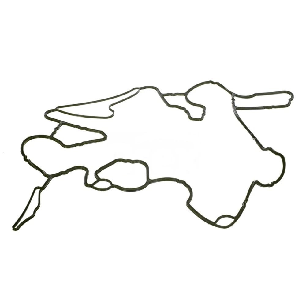 Gasket, Timing Case
