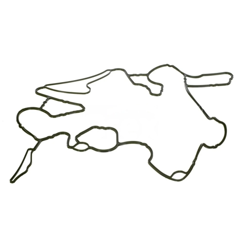 Gasket, Timing Case