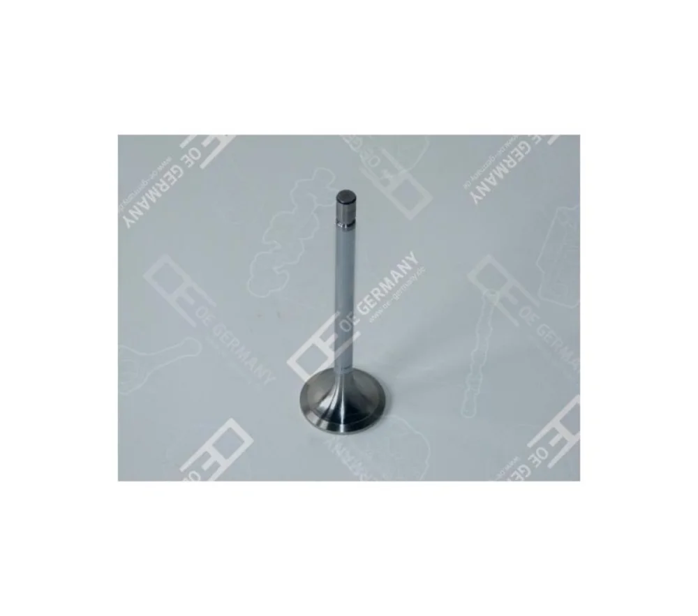 Inlet Valve