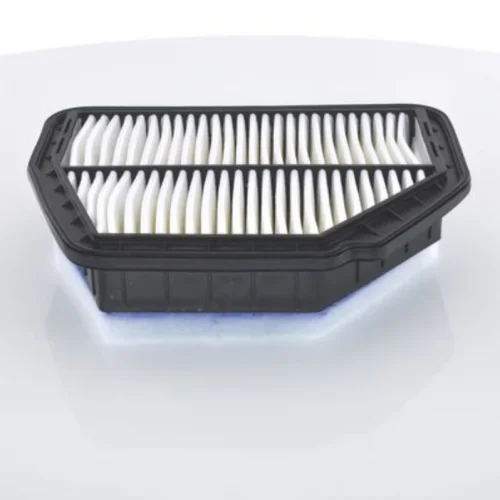 Air Filter (Air Supply)