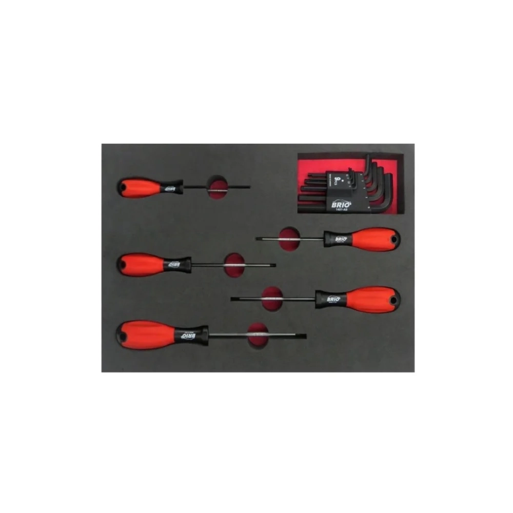 14 Piece Screwdriver Torx - Allen Set With Foam inlet