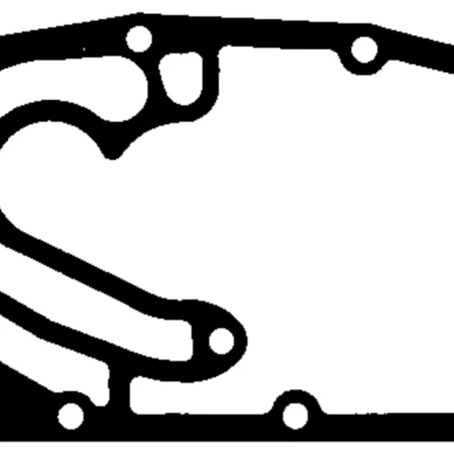 Gasket, timing case cover (Engine Timing)